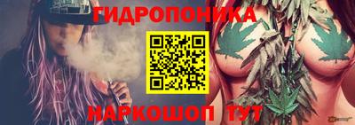тгк Тара