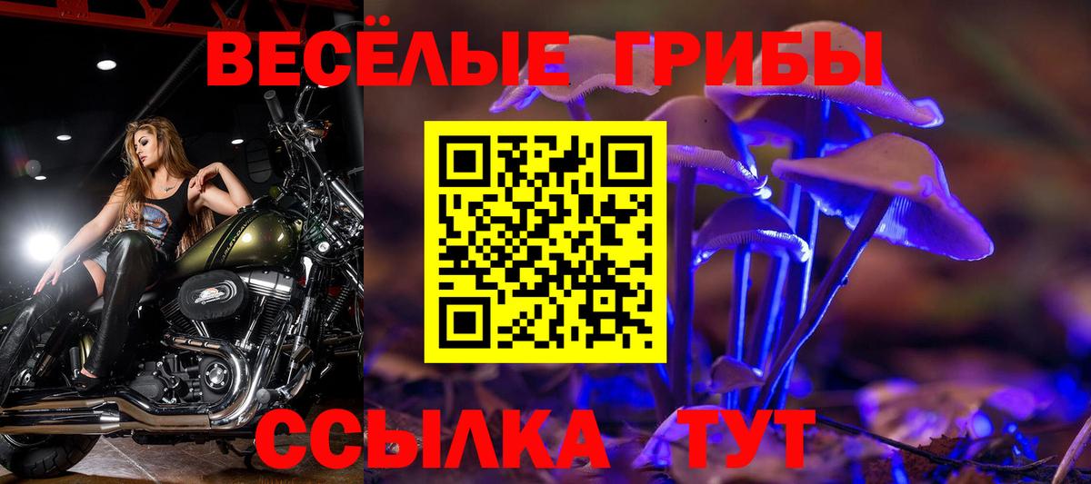 Псилоцибиновые грибы MAGIC MUSHROOMS  Вход с VPN  Белая Калитва 